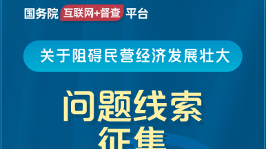 www.比操.com国务院“互联网+督查”平台公开征集阻碍民营经济发展壮大问题线索